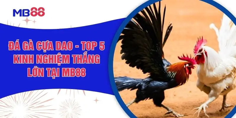 Đá Gà Cựa Dao - Top 5 Kinh Nghiệm Thắng Lớn Tại MB88